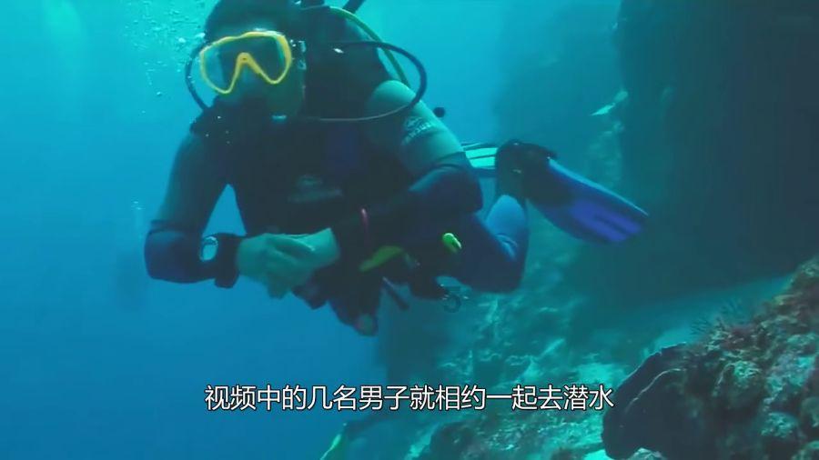 探索知识的蜗牛问答平台-玄凤鹦鹉养多少可以办证?